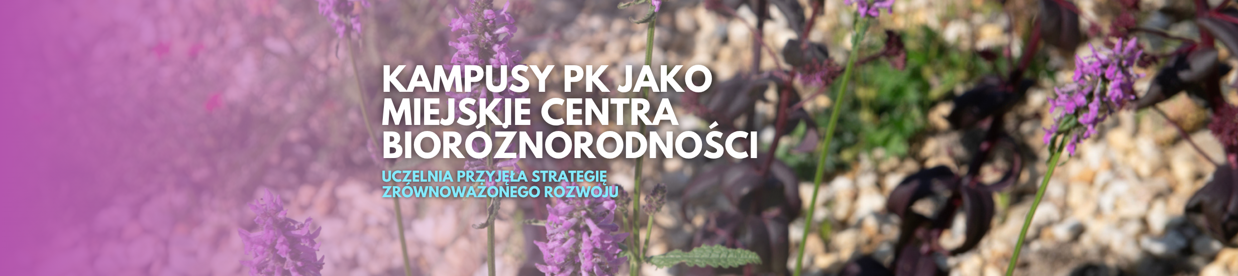 Politechnika przyjęła strategię zrównoważonego rozwoju