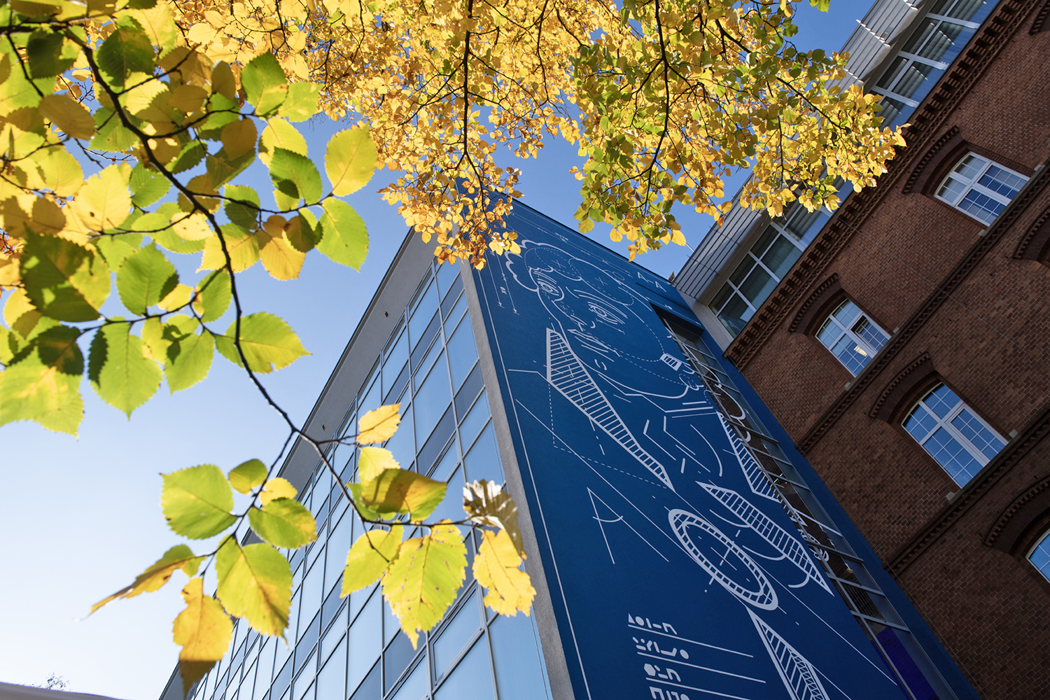 A photo showing one of the buildings at the Kraków University of Technology. On its wall, visible from below, is a mural depicting Tadeusz Kościuszko in a blueprint style. The photo is framed by yellow autumn leaves from the trees growing in the garden next to the building.