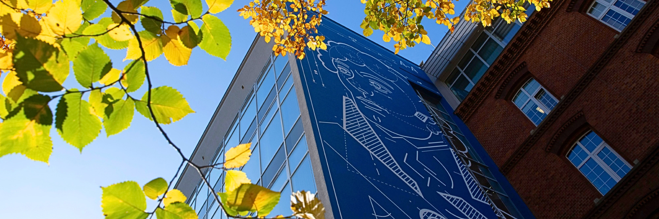 Słoneczny, jesienny dzień. Na ścianie budynku uczelni widać mural w technice blueprint z  Tadeuszem Kościuszką